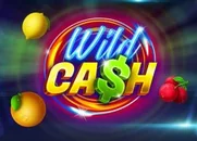 Casino gaming machine wild cash